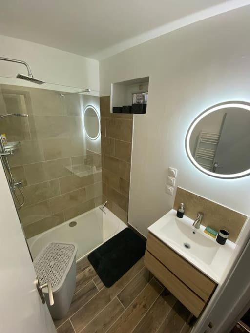 Super Appartement T3 Proche Gare Sens Dış mekan fotoğraf